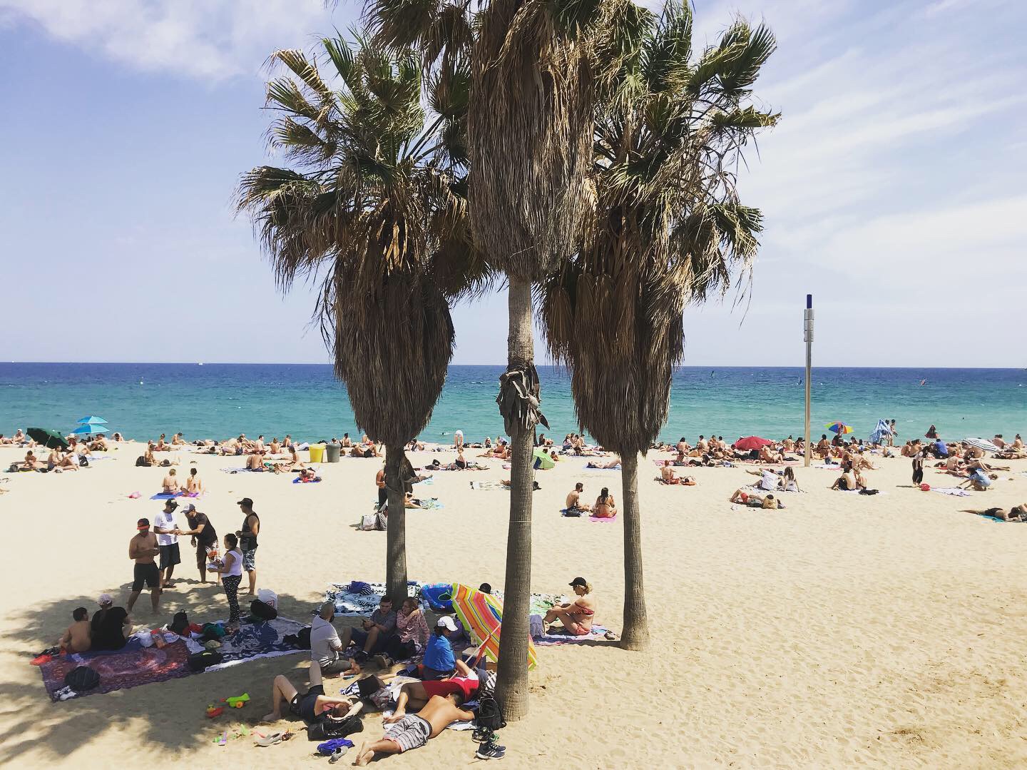 14 Catalan words for expats in Barcelona
