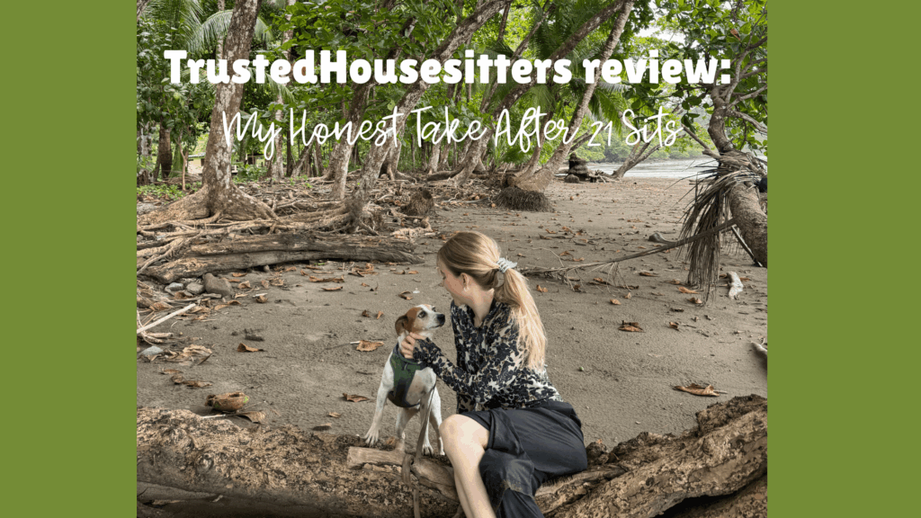 trustedhousesitters review